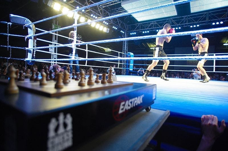 chess boxing wiki wcbo